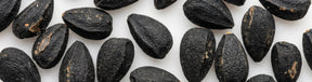Resilia